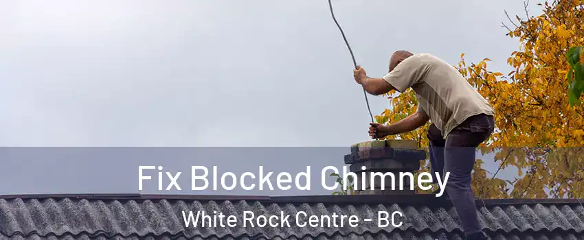  Fix Blocked Chimney White Rock Centre - BC