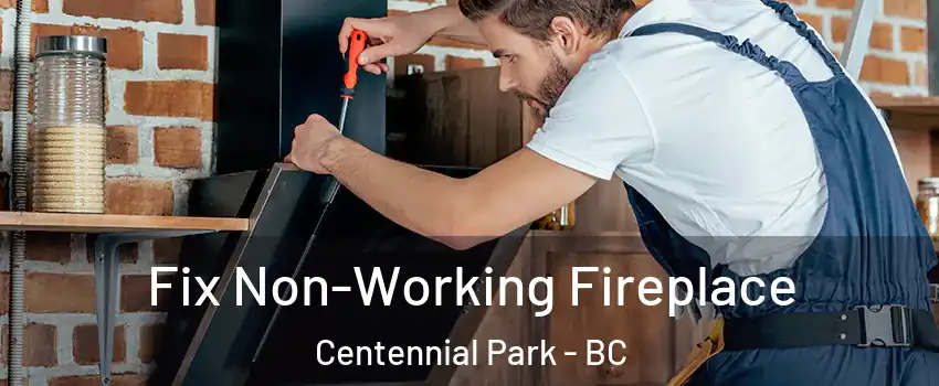  Fix Non-Working Fireplace Centennial Park - BC