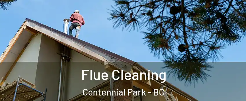  Flue Cleaning Centennial Park - BC