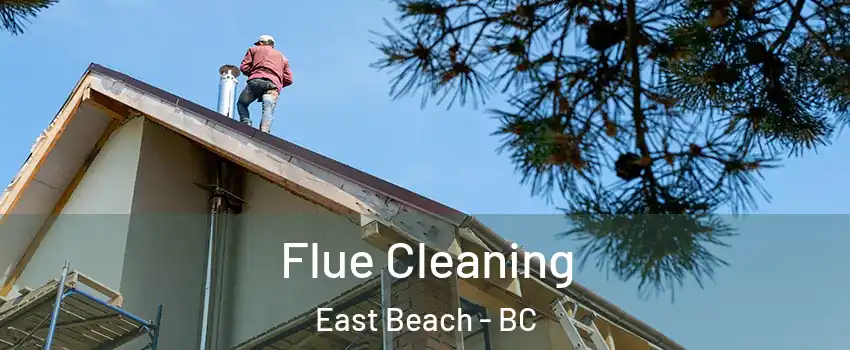  Flue Cleaning East Beach - BC