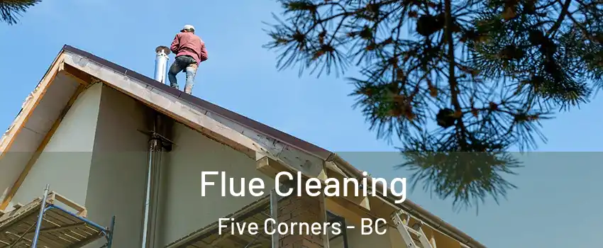  Flue Cleaning Five Corners - BC