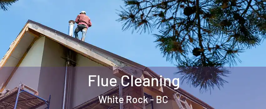  Flue Cleaning White Rock - BC