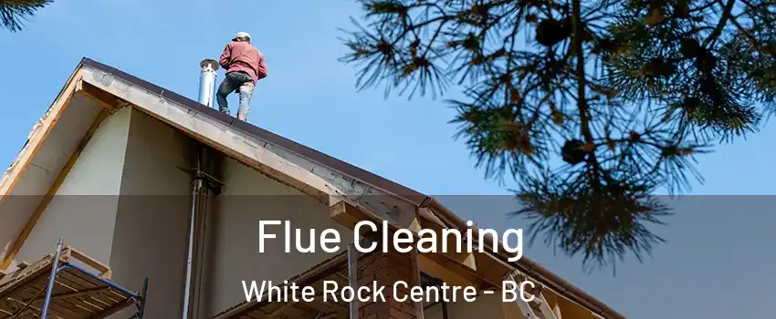  Flue Cleaning White Rock Centre - BC
