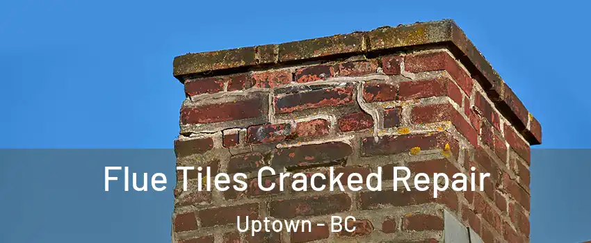 Flue Tiles Cracked Repair Uptown - BC