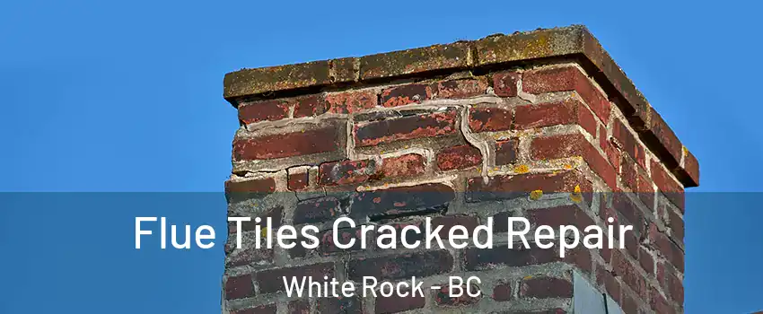 Flue Tiles Cracked Repair White Rock - BC