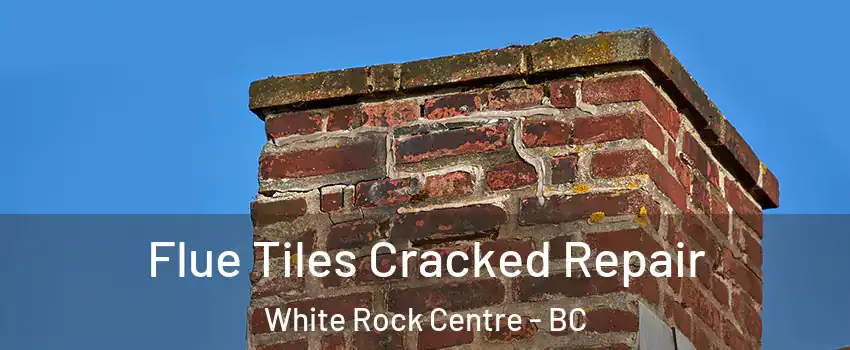  Flue Tiles Cracked Repair White Rock Centre - BC