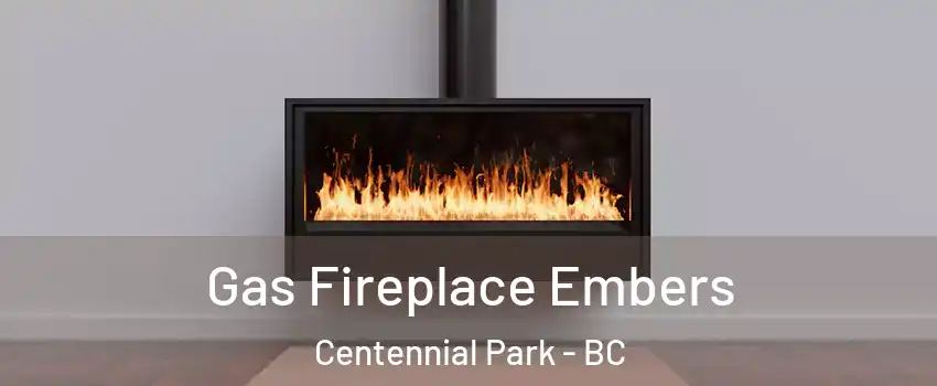  Gas Fireplace Embers Centennial Park - BC