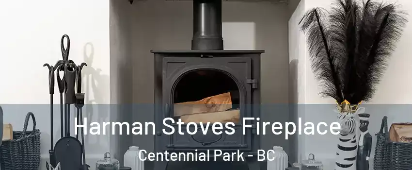  Harman Stoves Fireplace Centennial Park - BC