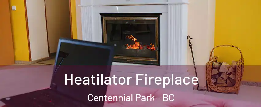  Heatilator Fireplace Centennial Park - BC