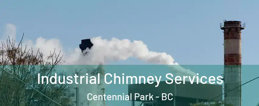  Industrial Chimney Services Centennial Park - BC