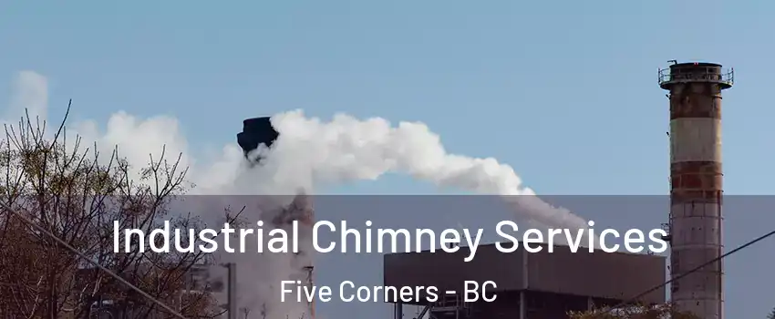  Industrial Chimney Services Five Corners - BC