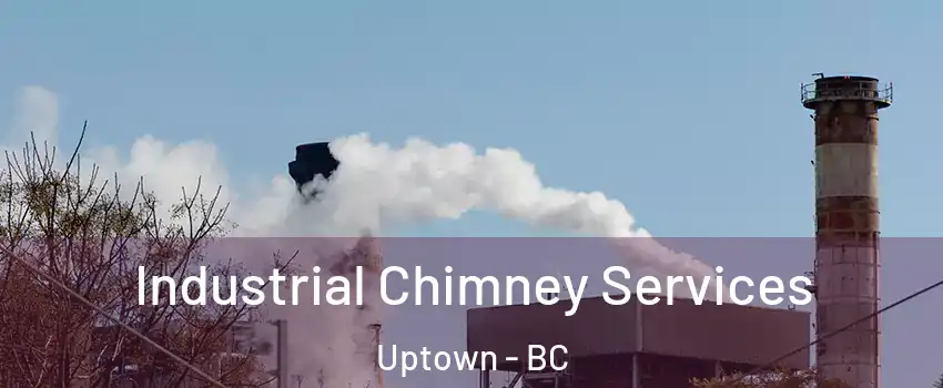 Industrial Chimney Services Uptown - BC