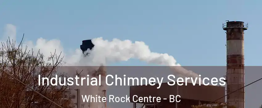  Industrial Chimney Services White Rock Centre - BC