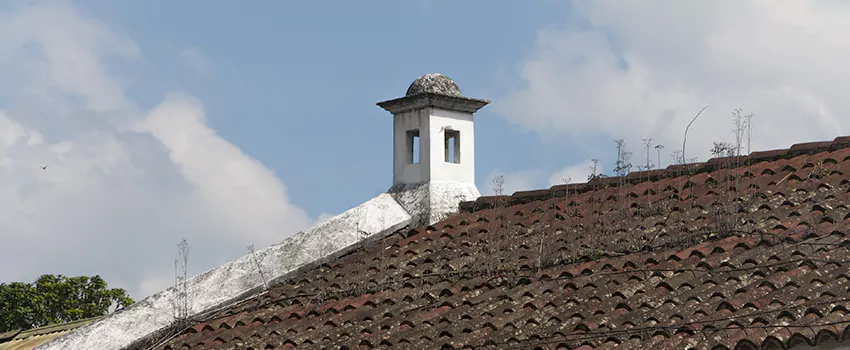 Wind-Resistant Chimney Caps Installation and Repair Services in White Rock, British Columbia