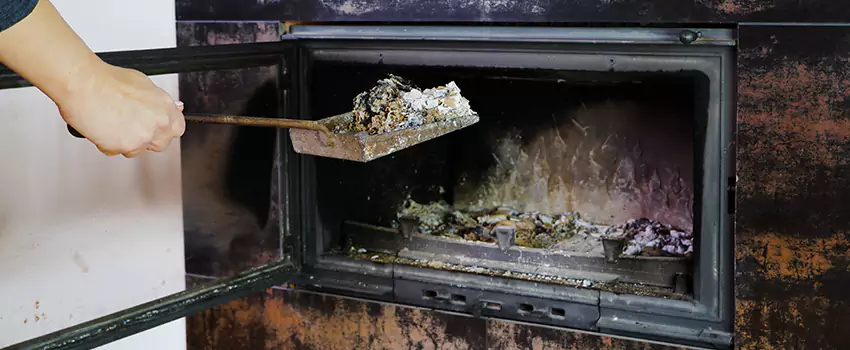 Wood Burning Chimney Odor Removal in White Rock, British Columbia