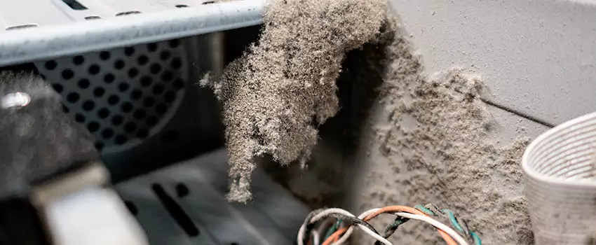 Clogged Dryer Vent Lint Cleaning in White Rock, British Columbia
