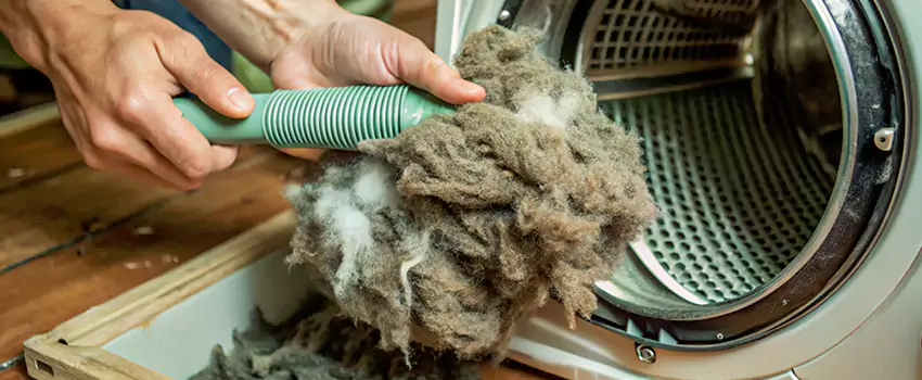 Best Dryer Lint Removal Company in White Rock, British Columbia