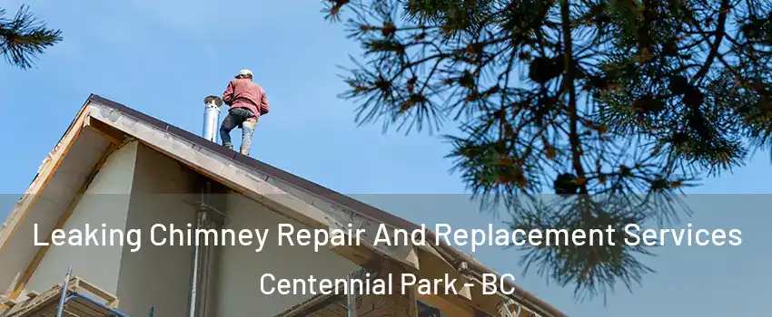 Leaking Chimney Repair And Replacement Services Centennial Park - BC
