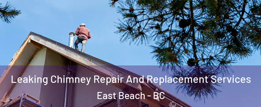 Leaking Chimney Repair And Replacement Services East Beach - BC