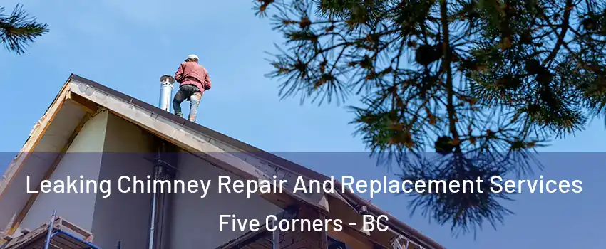  Leaking Chimney Repair And Replacement Services Five Corners - BC