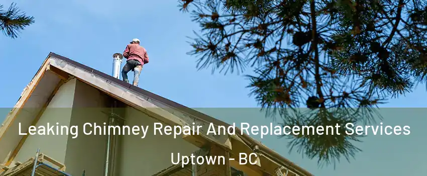  Leaking Chimney Repair And Replacement Services Uptown - BC