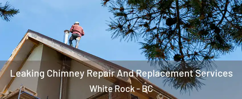  Leaking Chimney Repair And Replacement Services White Rock - BC