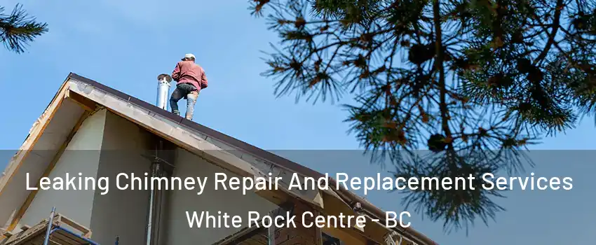  Leaking Chimney Repair And Replacement Services White Rock Centre - BC