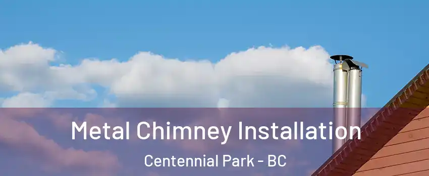  Metal Chimney Installation Centennial Park - BC