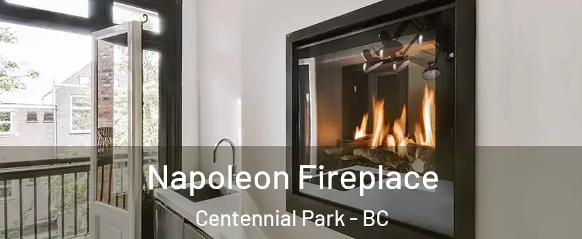  Napoleon Fireplace Centennial Park - BC