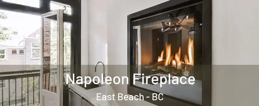  Napoleon Fireplace East Beach - BC