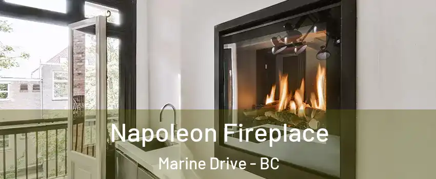  Napoleon Fireplace Marine Drive - BC