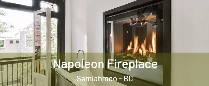  Napoleon Fireplace Semiahmoo - BC