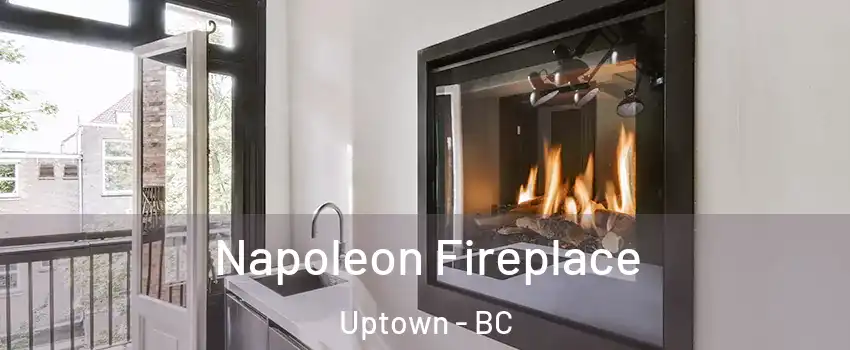  Napoleon Fireplace Uptown - BC
