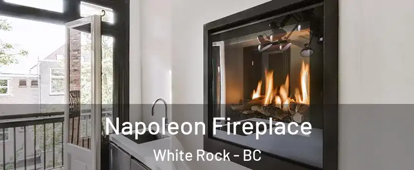  Napoleon Fireplace White Rock - BC