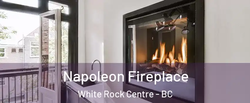 Napoleon Fireplace White Rock Centre - BC