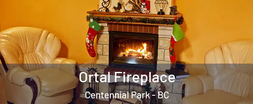  Ortal Fireplace Centennial Park - BC