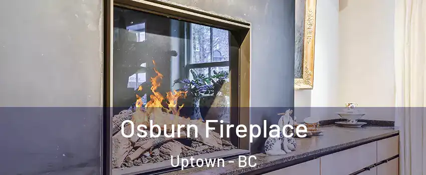  Osburn Fireplace Uptown - BC