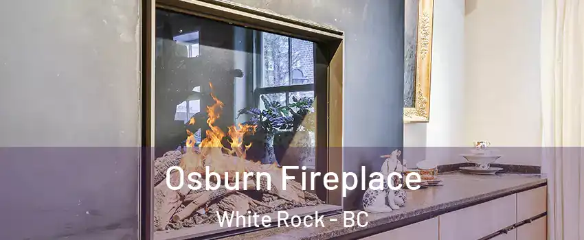  Osburn Fireplace White Rock - BC