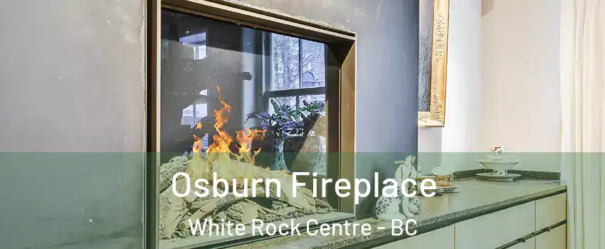  Osburn Fireplace White Rock Centre - BC