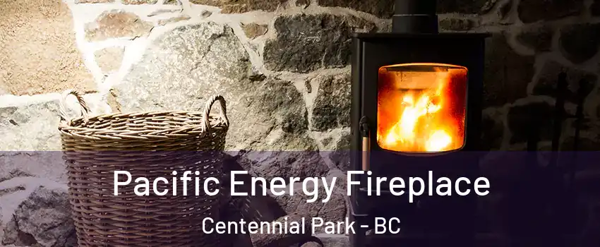  Pacific Energy Fireplace Centennial Park - BC