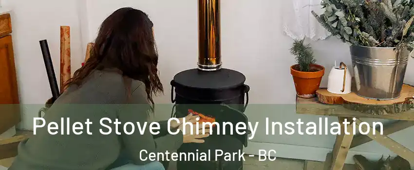  Pellet Stove Chimney Installation Centennial Park - BC
