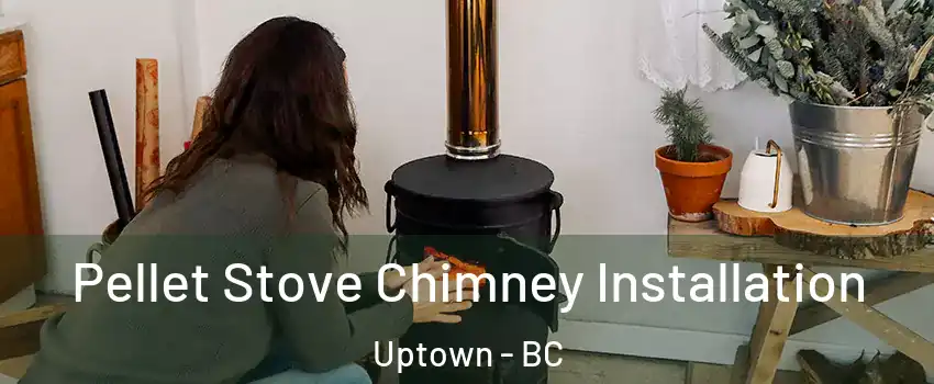 Pellet Stove Chimney Installation Uptown - BC