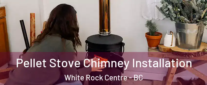  Pellet Stove Chimney Installation White Rock Centre - BC