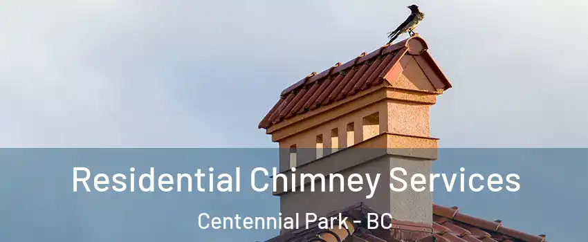  Residential Chimney Services Centennial Park - BC