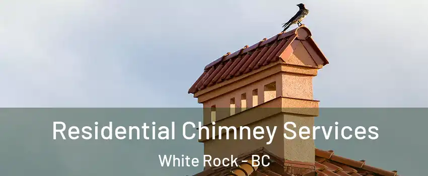 Residential Chimney Services White Rock - BC