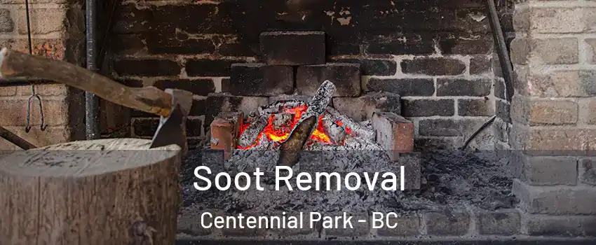  Soot Removal Centennial Park - BC