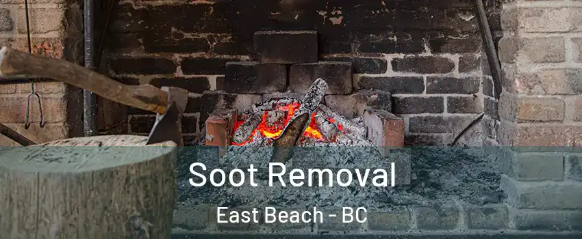  Soot Removal East Beach - BC