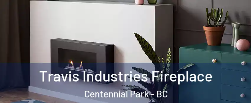  Travis Industries Fireplace Centennial Park - BC