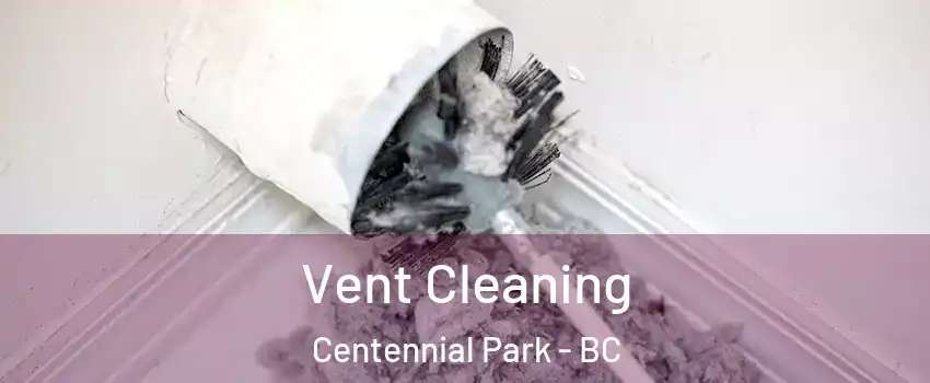  Vent Cleaning Centennial Park - BC