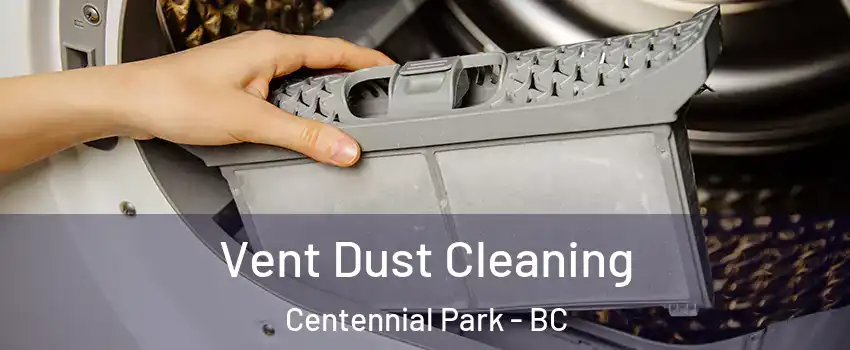  Vent Dust Cleaning Centennial Park - BC